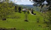 Tour Wandern Woll - Montagne Lama - La Bresse  - Photo 7