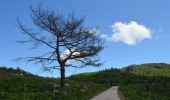 Tour Zu Fuß Labrujó, Rendufe e Vilar do Monte - Varanda do Coura - Photo 1