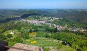 Trail Walking Dabo - Dabo - Col de la Schleif - Roskopf - Photo 7
