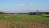 Tour Zu Fuß Lich - Residenzenring - Photo 6