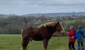 Trail Walking Rochefort - TR 10 Belvaux, le bon - Photo 3