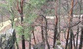 Trail On foot Nandrin - Les rochettes Bois des dames - Photo 9