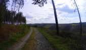 Trail Mountain bike La Roche-en-Ardenne - La_Roche_en_Ardenne_20210430_100431 - Photo 5