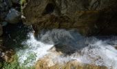 Tour Zu Fuß Wörschach - Wörschachklamm - Ruine Rundweg - Photo 7