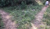 Trail Walking Mougins - Standard 2 - Photo 5