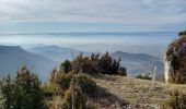 Tour Wandern Léoncel - Pierre Chauve-Pas de St Vincent- Pas de Touet - Photo 12