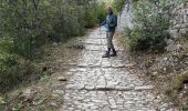 Excursión Senderismo Oppède - PF-Oppède-le-Vieux - Sentier vigneron - Forteresse et Collégiale - Photo 7