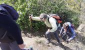 Trail Walking Châteauneuf-sur-Isère - Châteauneuf/isere - Photo 14