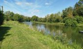 Tocht Stappen Banteux - canal de saint Quentin / Banteux - Vendhuile ( tunnel de Riqueval ). - Photo 3