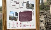 Trail Walking Carnoules - Carnoules - plateau de Thèmes - Photo 1
