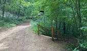 Tour Wandern Esch an der Alzette - Terres Rouges Esch Ellergron 18 km - Photo 13