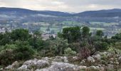Trail Walking Camps-la-Source - Rocher du Gueit- Camps la Source-06-11-2024 - Photo 2