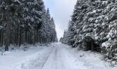 Tour Wandern Bütgenbach - Dans la neige  - Photo 1
