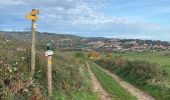 Trail Walking Messimy - De Messimy au belvédère du Piragoy en boucle - Photo 3