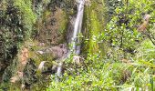 Tocht Stappen Saint-Claude - Guadeloupe - Chute du Galion - La Citerne - Photo 9