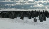 Trail Snowshoes Sainte-Croix - Col des Etroits Le Chasseron CAF - Photo 12