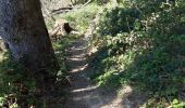 Percorso Mountainbike Saint-Étienne - single track de fissemagne  - Photo 1