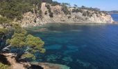 Tour Wandern Hyères - Sentier côtier presqu’île de Gien - Photo 8