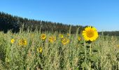 Tour Wandern Gerpinnes - Tournesol Fromiée et Tournibus - Photo 2