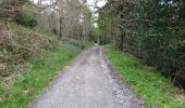 Percorso A piedi Sconosciuto - Castlewellan Forest Park - Annesley Garden Walk - Photo 5