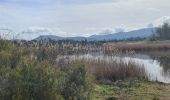 Randonnée Marche Le Cannet-des-Maures - lac des escarcets - Photo 6