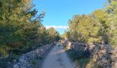 Trail Walking Leucate - leucate . franki plage . leucate - variante - Photo 5