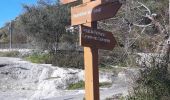 Trail Walking Tourrettes-sur-Loup - 2022-02-03 trace pie martin - Photo 1
