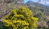 Tocht Stappen Sainte-Maxime - Vers Peigros - Photo 17