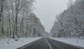 Tour Zu Fuß Ede - Driesprong Route - Photo 3