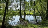 Tocht Stappen Léglise - Bombois mini - Photo 4