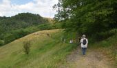 Tocht Stappen Pepinster - 20230612 - Cornesse 5.9 Km - Photo 14