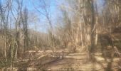 Trail Walking Chaudfontaine - petit tour dans le bois d Embourg - Photo 6