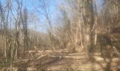 Randonnée Marche Chaudfontaine - petit tour dans le bois d Embourg - Photo 6