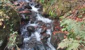 Percorso Marcia Bagnères-de-Luchon - chemin des chèvres et de Louise  - Photo 2