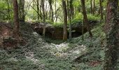 Tour Wandern Héricourt - Héricourt - fort Mont Vaudois - poudriére puis batterie d'Urcerey - Echenans - Photo 6