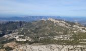 Trail Walking Gémenos - le baou de Bertagne au départ du col de l'Espigoulier  - Photo 11