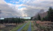 Trail Walking Ferrières - entre Jehonhé et La Fagne  - Photo 8