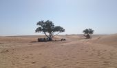 Tour Wandern M'Hamid El Ghizlane ⵎⵃⴰⵎⵉⴷ ⵍⵖⵯⵣⵍⴰⵏ امحاميد الغزلان - Campement 1 au Campement 2 - Photo 16