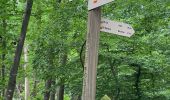 Tour Wandern Holsbeek - S-GR Hageland: Kortrijk-Dutsel - Leuven - Photo 11