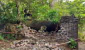 Randonnée Marche La Trinité - Anse Cosmy - Anse Azerot - Photo 6