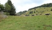 Tocht Stappen Rougemont-le-Château - BAERENKOPF - Photo 2