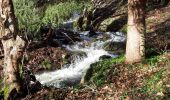 Trail Walking Soultz-Haut-Rhin - 2020-02-04 Rimbach Glashutte - Photo 8