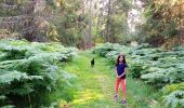 Tour Wandern Autrans-Méaudre en Vercors - Le Gros Martel par le trou de L'enfer - Photo 9