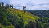 Tour Wandern Ferrières - Balade à Vieuxville - Photo 7