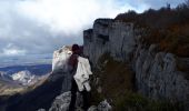 Tocht Stappen Saint-Martin-en-Vercors - les pas de l'Allier - Photo 2