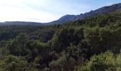 Tour Wandern Puyloubier - La Ste Victoire-pic des mouches-07-10-20 - Photo 9