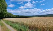 Tour Wandern La Roche-en-Ardenne - marche ADEPS BUISSON - Photo 2