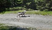 Trail Walking Jausiers - le lac des sagnes - Photo 10