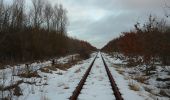 Tocht Te voet Schafflund - Durch das Urstromtal der Wallsbek - Photo 8