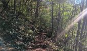 Tour Wandern Comblain-au-Pont - Comblain-au-Pont d´une rive à l´autre - Photo 2